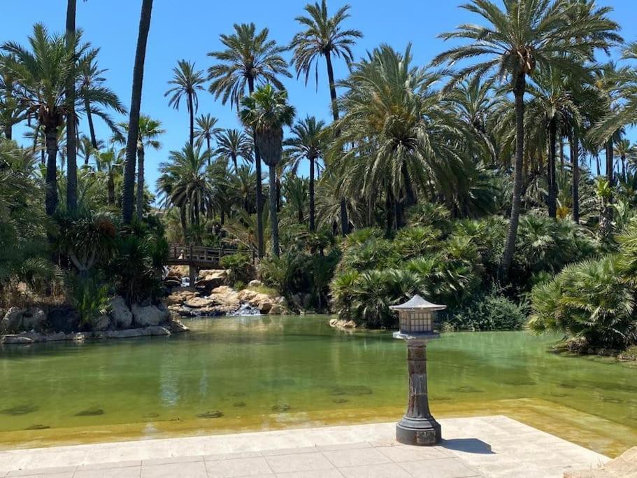 Carpediem Apart Terraza-Atico Alicante Center 外观 照片