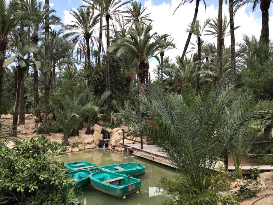 Carpediem Apart Terraza-Atico Alicante Center 外观 照片